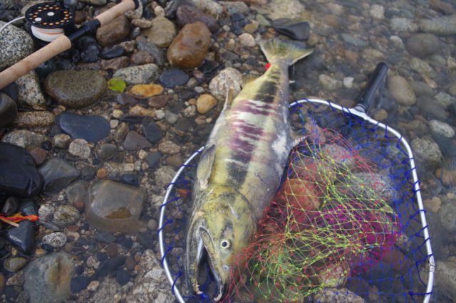 IMGP7760_R