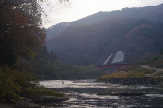 IMGP7839_R
