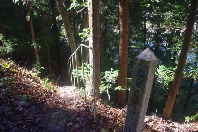 IMGP7875_R