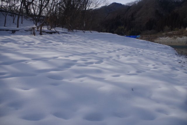 IMGP8049_R