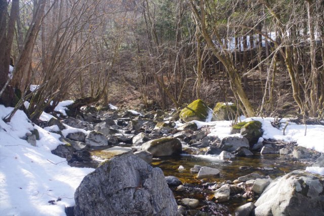 IMGP8278_R