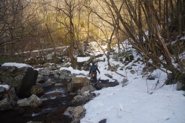 IMGP8285_R