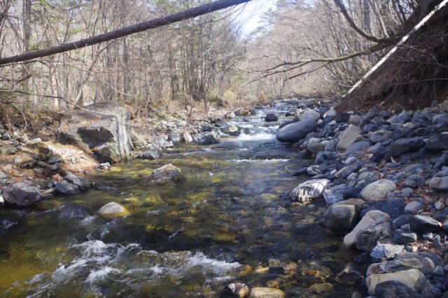 IMGP8299_R