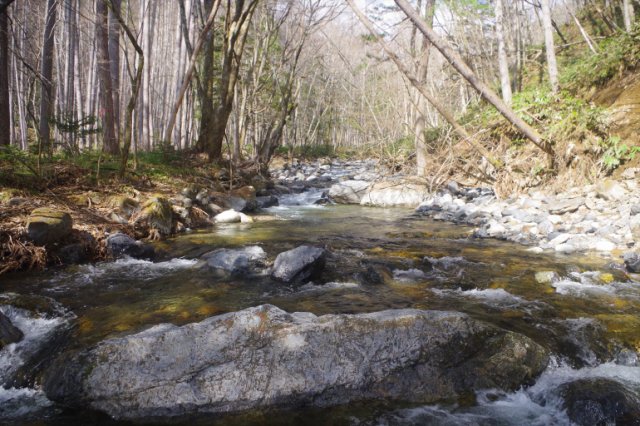 IMGP8339_R
