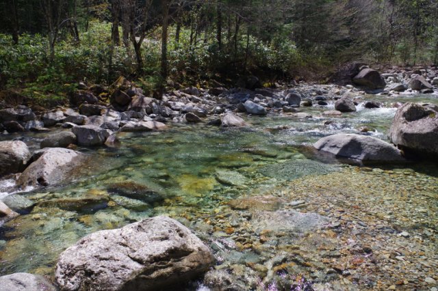 IMGP8685_R