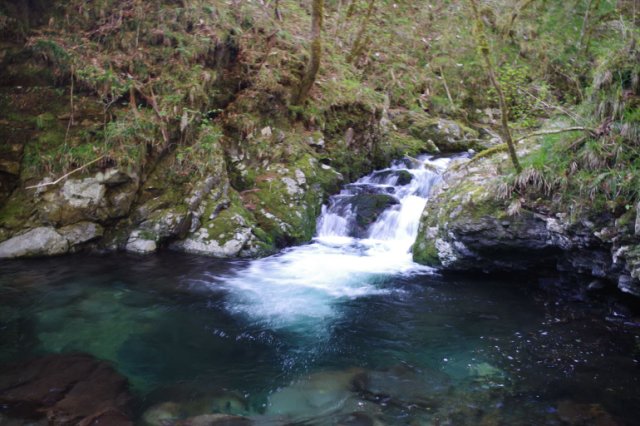 IMGP9047_R