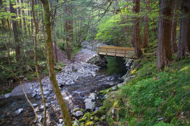 IMGP9062_R