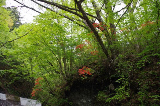 IMGP9451_R