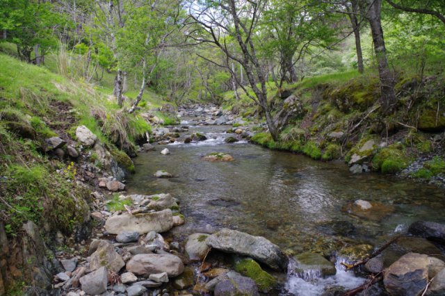 IMGP9607_R