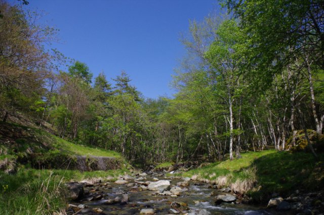 IMGP9611_R