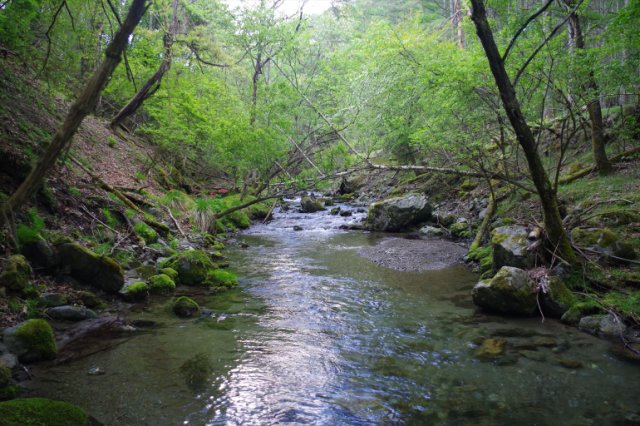 IMGP9653_R
