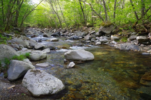IMGP9860_R
