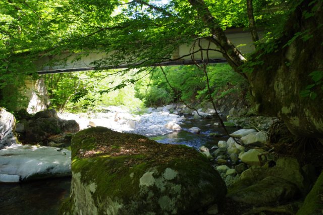 IMGP9901_R