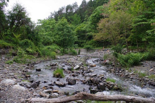 IMGP0090_R