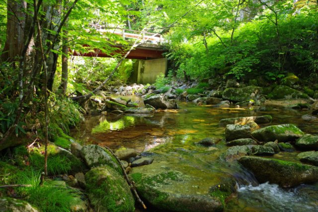 IMGP0114_R