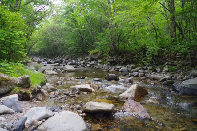 IMGP0259_R