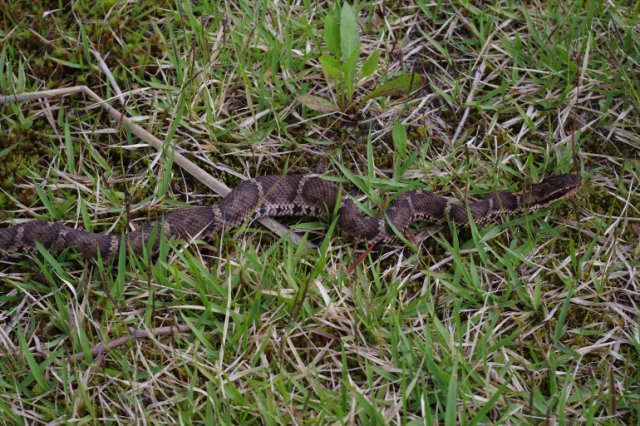 IMGP0435_R