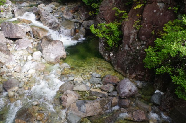 IMGP0951_R