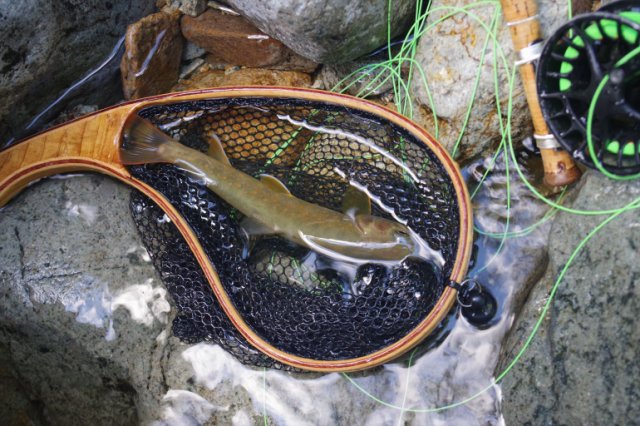IMGP1126_R