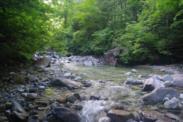 IMGP1133_R