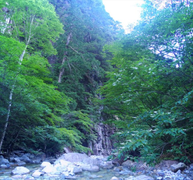 IMGP1145_stitch_R
