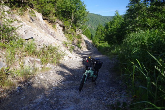 IMGP1165_R