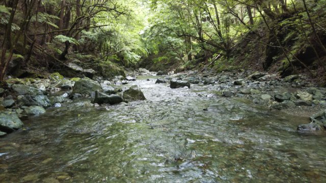 DSC_0251_R