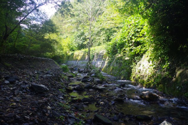 IMGP1415_R