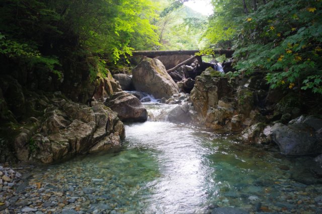 IMGP1705_R