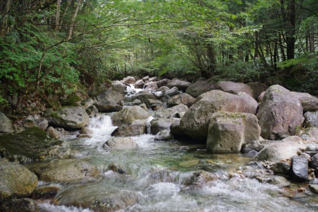 IMGP2069_R