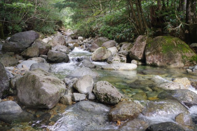 IMGP2084_R