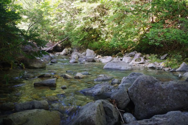 IMGP2198_R