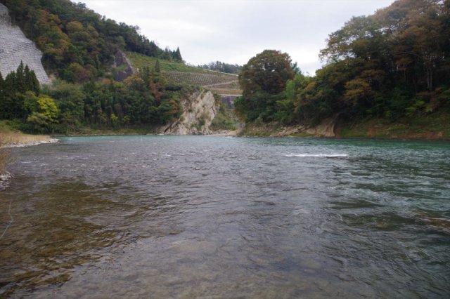 IMGP2562_R
