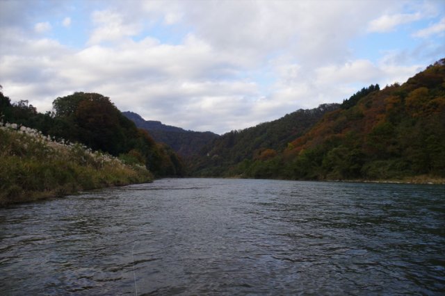 IMGP2664_R