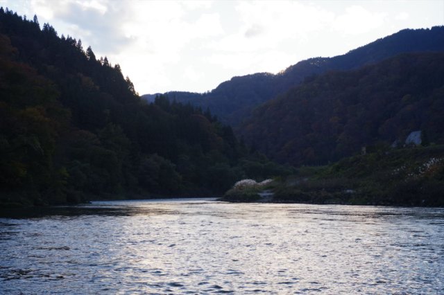 IMGP2708_R