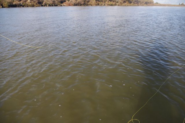 IMGP2758_R