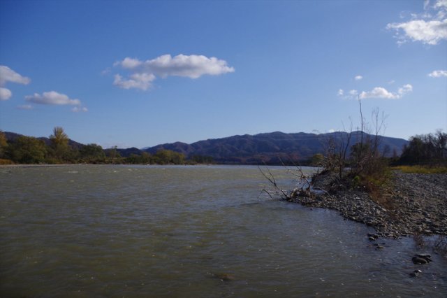 IMGP2815_R