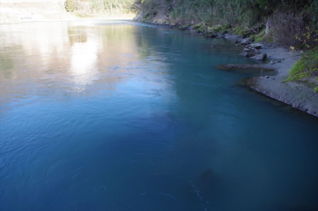 IMGP2953_R
