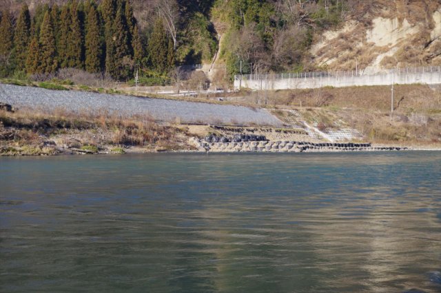 IMGP2962_R