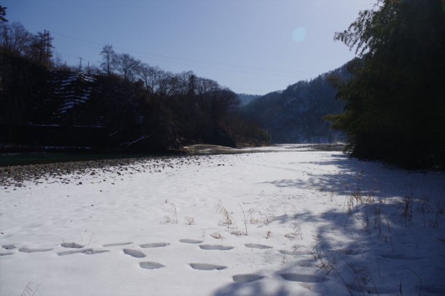 IMGP3152_R