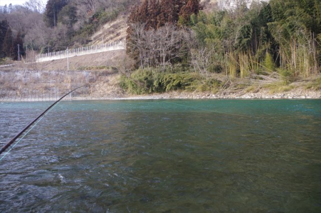 IMGP3196_R