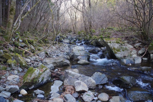 IMGP3396_R