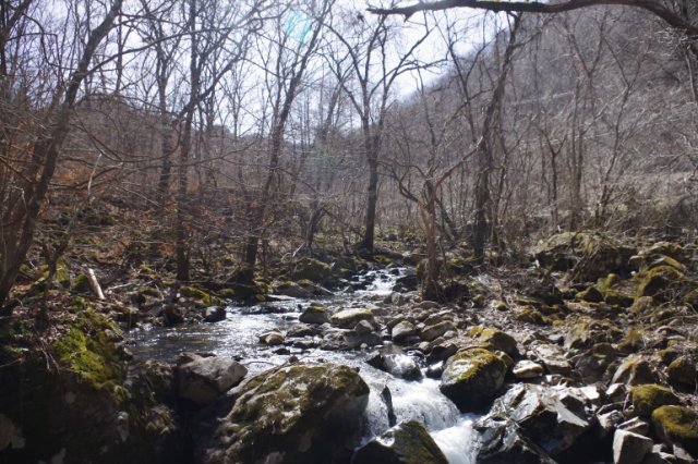 IMGP3439_R