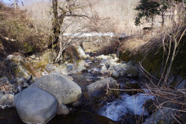 IMGP3445_R