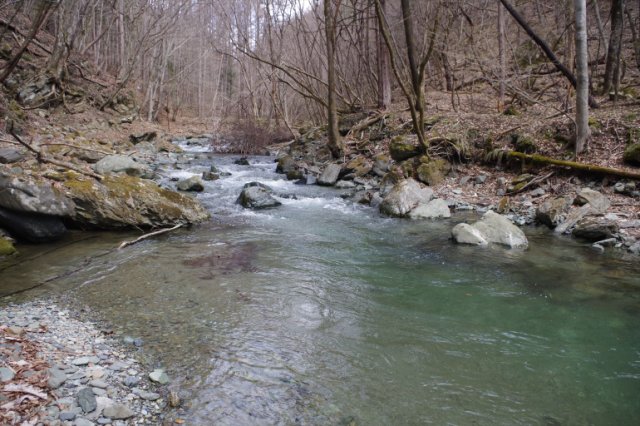 IMGP3542_R