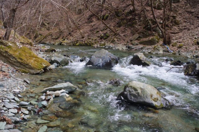 IMGP3564_R