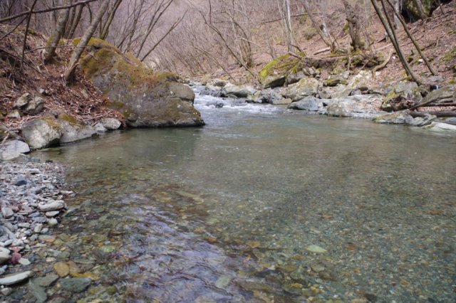 IMGP3589_R