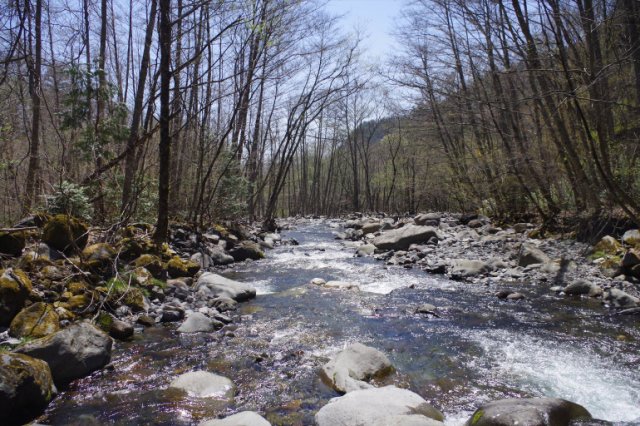 IMGP3808_R
