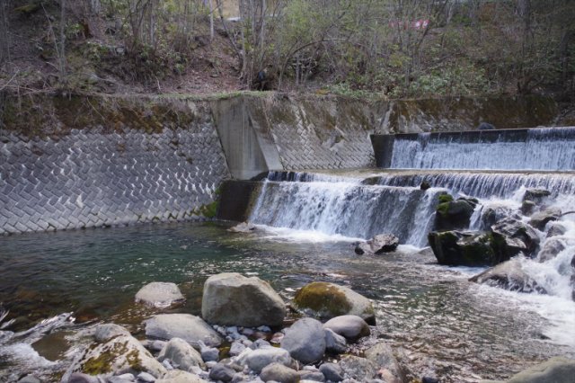 IMGP3976_R