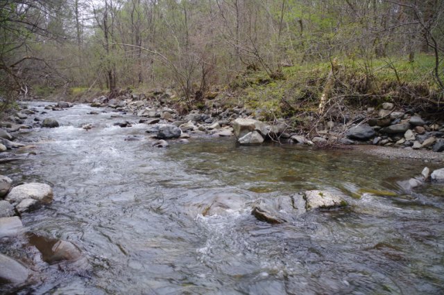 IMGP4235_R